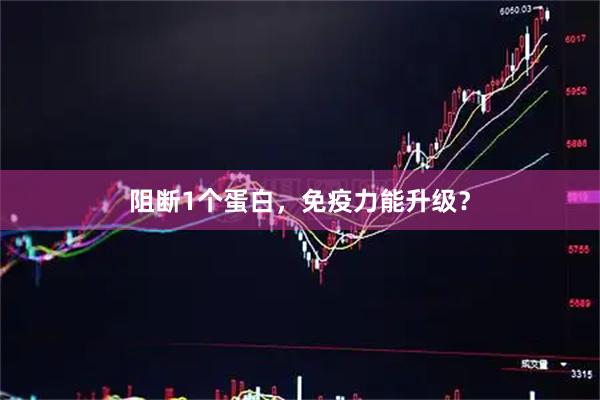 阻断1个蛋白，免疫力能升级？
