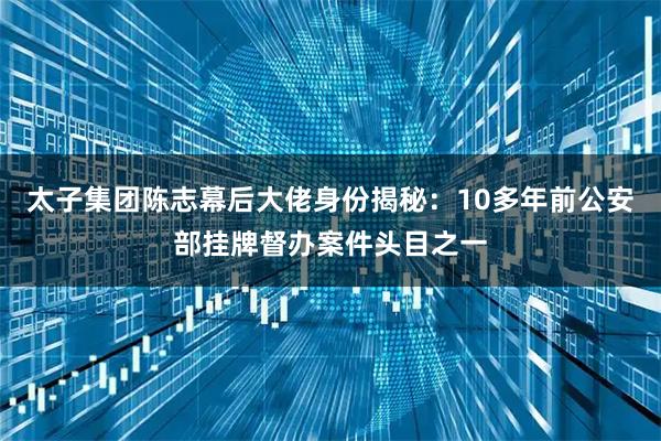 太子集团陈志幕后大佬身份揭秘：10多年前公安部挂牌督办案件头目之一