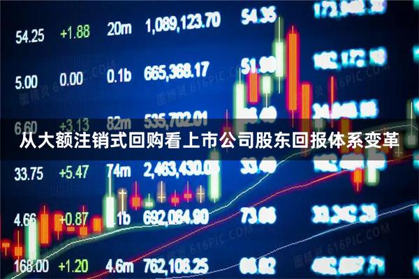 从大额注销式回购看上市公司股东回报体系变革
