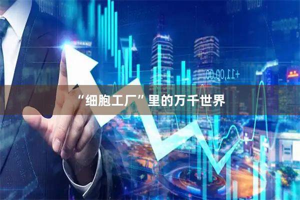 “细胞工厂”里的万千世界